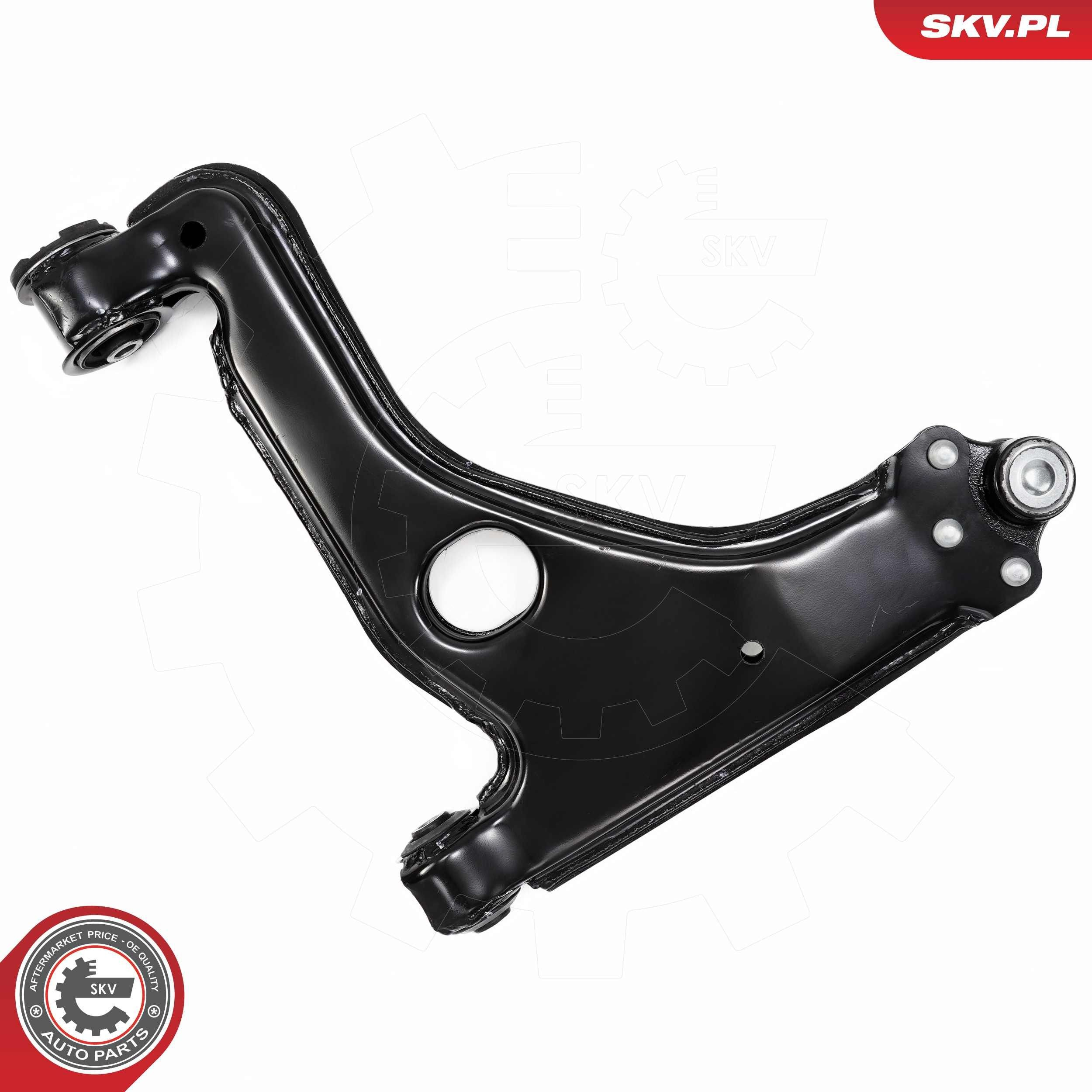 69SKV248 SKV